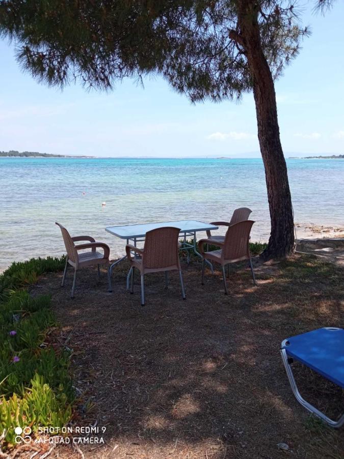Studios Efi Beach Vourvourou Dış mekan fotoğraf